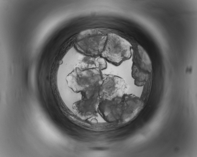 X0000114240189200911201142