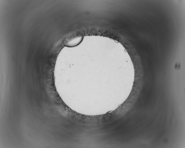 X0000114240192200911201142