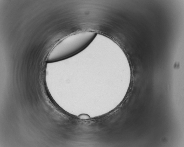 X0000114240193200911201142