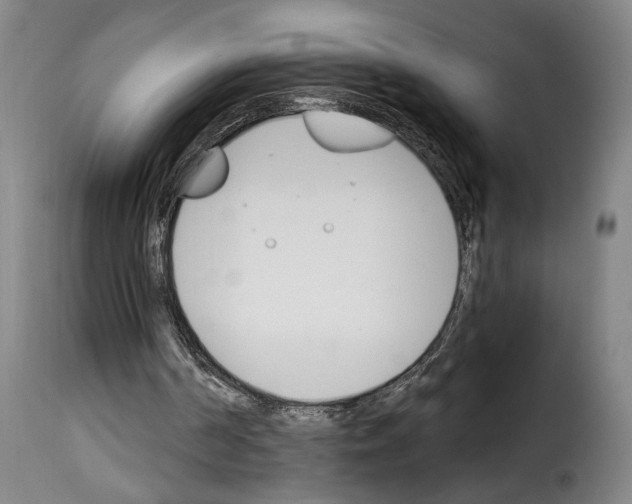 X0000114240194200911201142