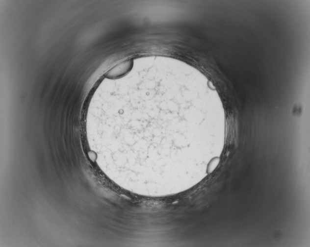 X0000114240195200911201142