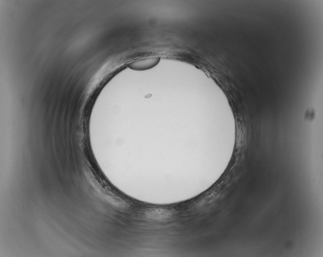 X0000114240198200911201142