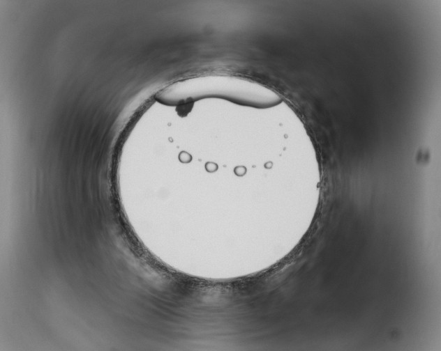 X0000114240200200911201142