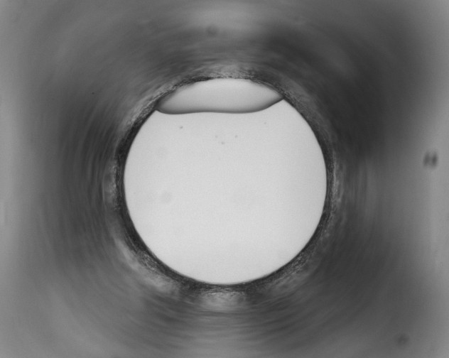 X0000114240202200911201142