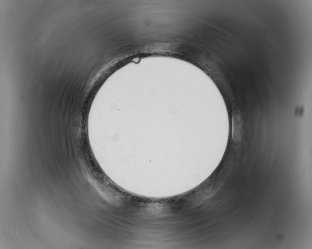 X0000114240204200911201142