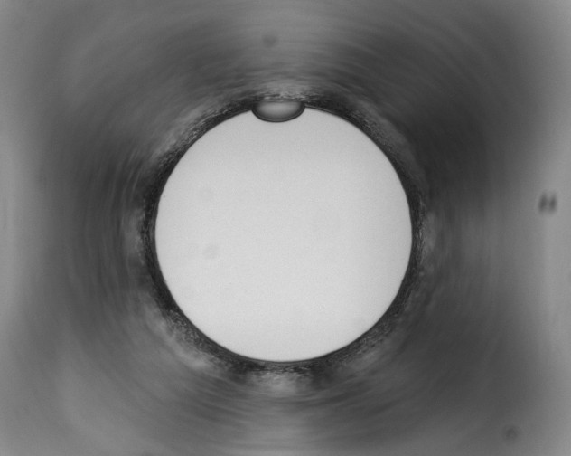 X0000114240209200911201141