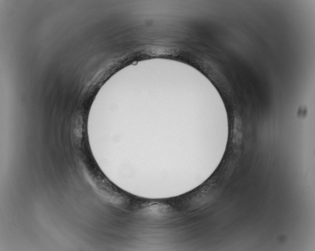 X0000114240210200911201141