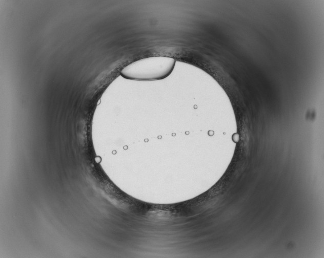 X0000114240211200911201141