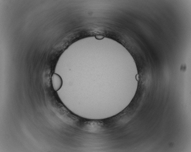 X0000114240223200911201141