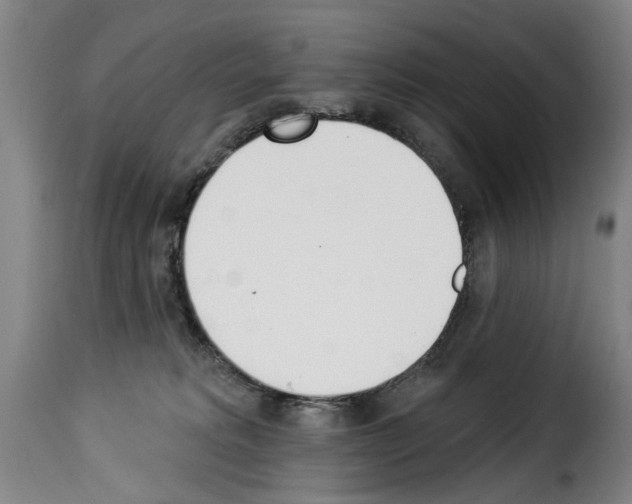 X0000114240229200911201141