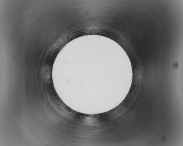 X0000114240232200911201141