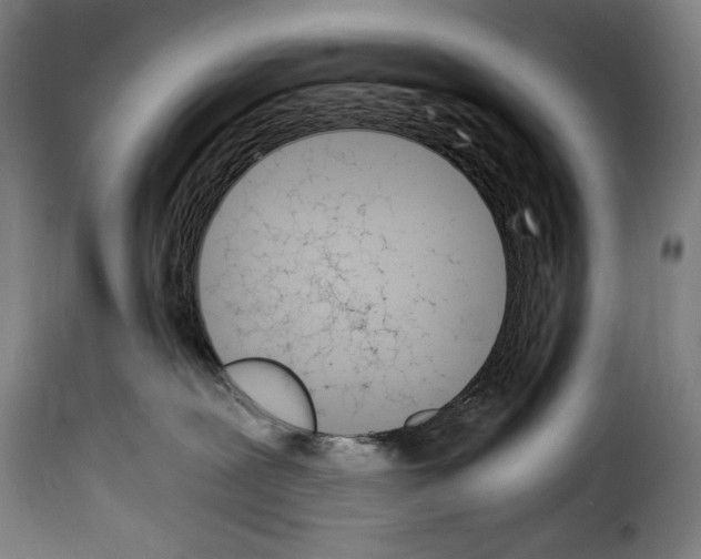 X0000114240239200911201141