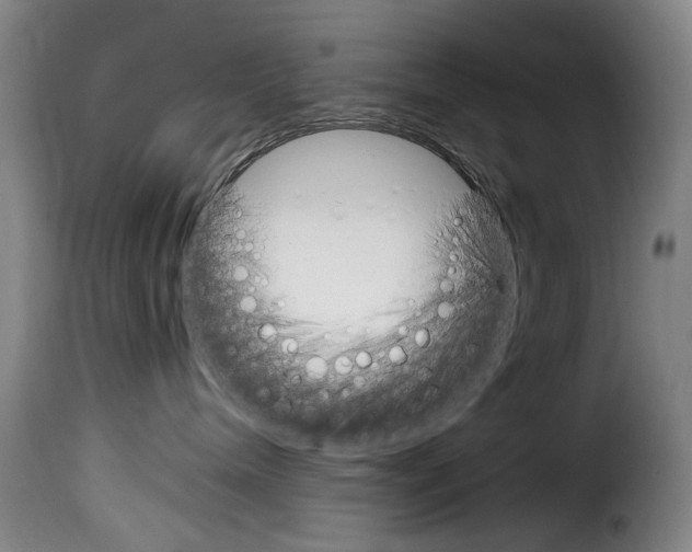 X0000114240240200911201141