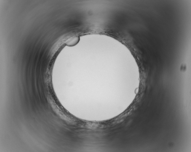 X0000114240242200911201140