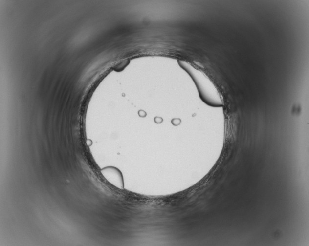 X0000114240243200911201140