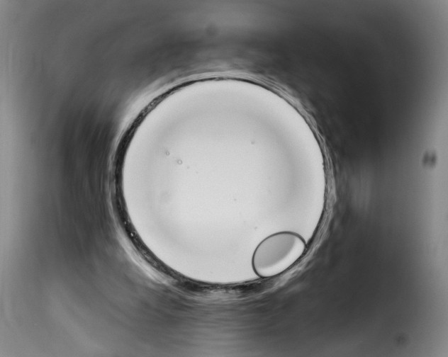 X0000114240248200911201140