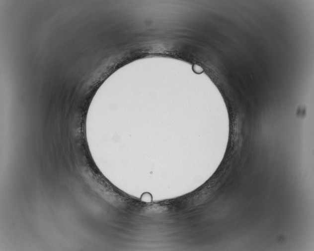 X0000114240257200911201140