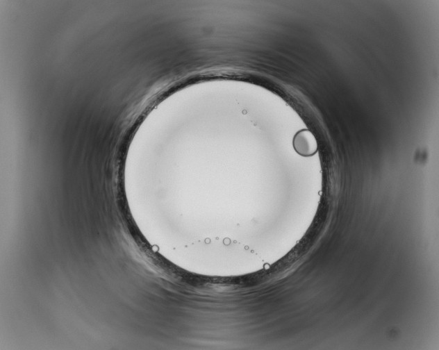 X0000114240260200911201141