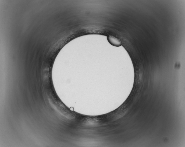 X0000114240263200911201141