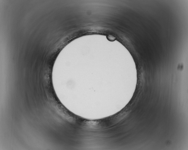 X0000114240265200911201141