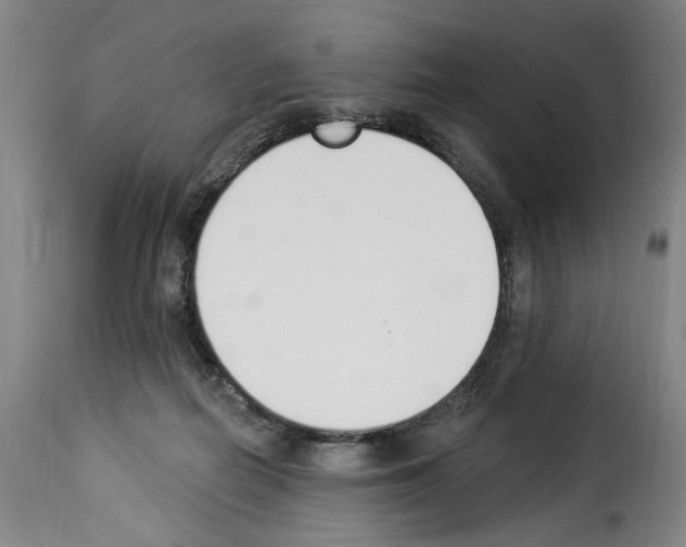 X0000114240266200911201141