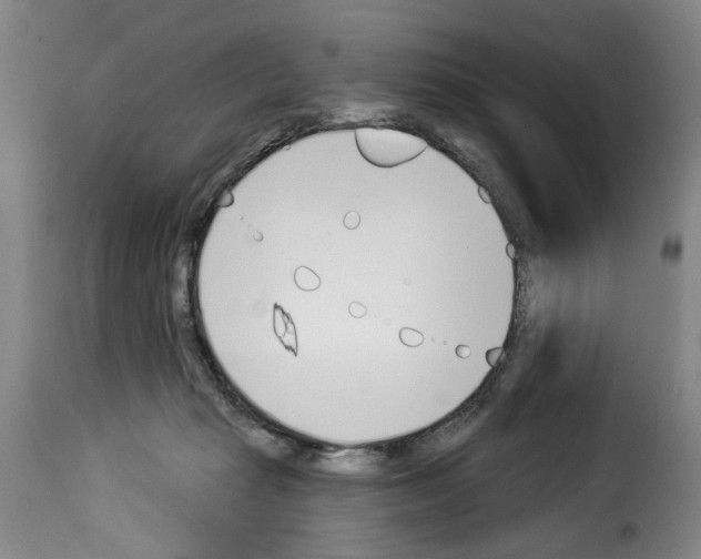 X0000114240269200911201141