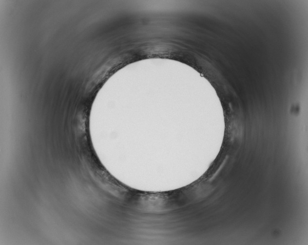 X0000114240282200911201141