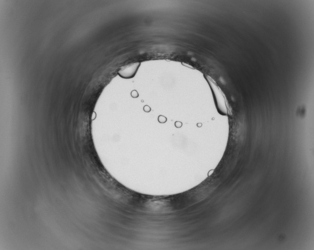 X0000114240283200911201141