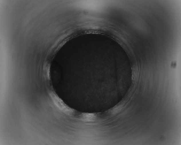 X0000114240287200911201141