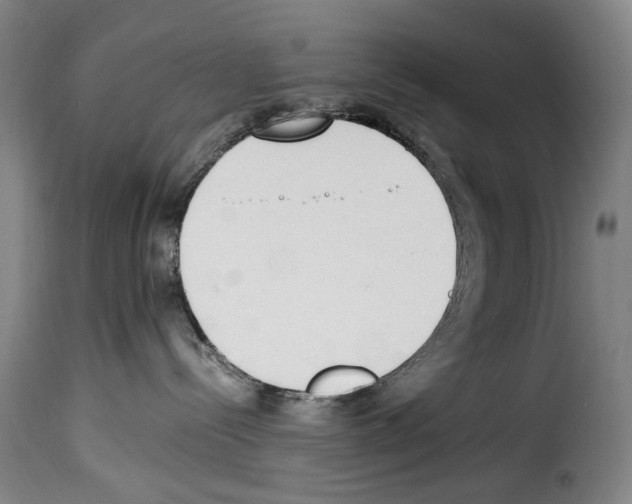 X0000114240288200911201141