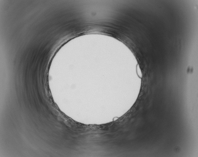 X0000114240289200911201140