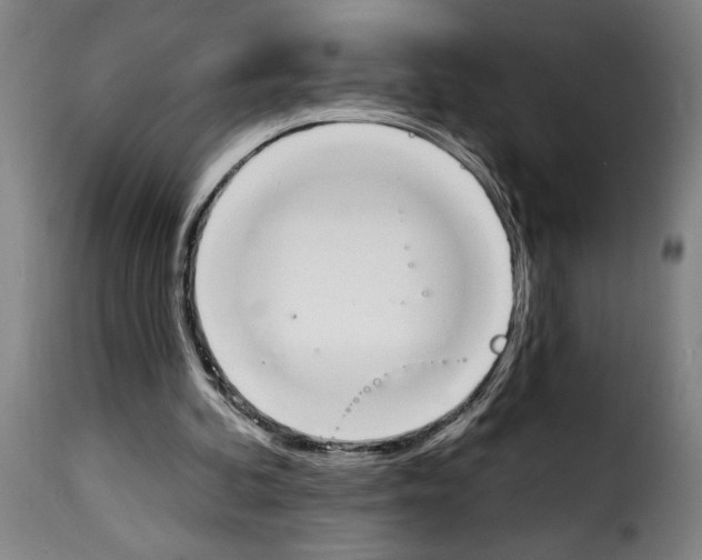 X0000114240292200911201140