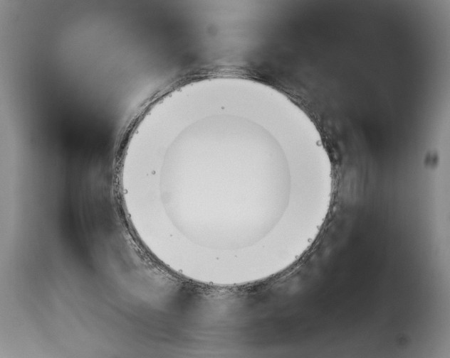 X0000114240293200911201140