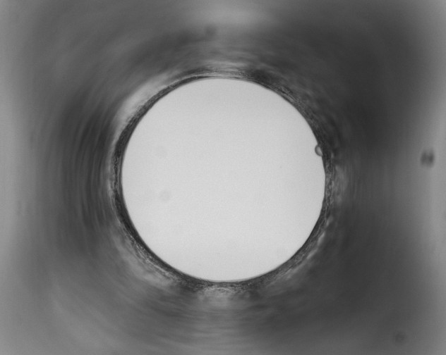 X0000114240294200911201140