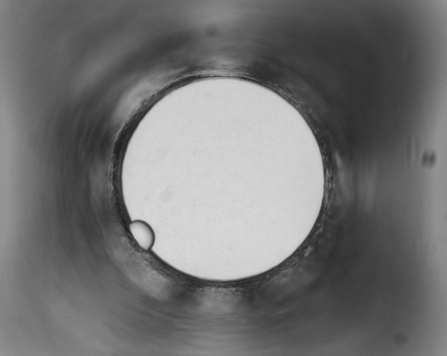 X0000114240296200911201140