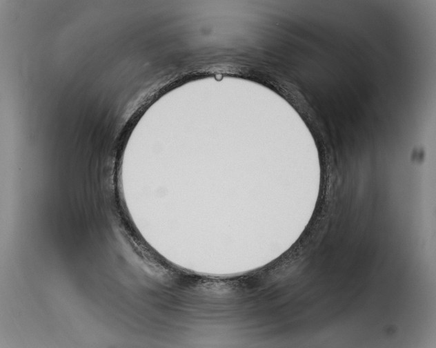 X0000114240299200911201140