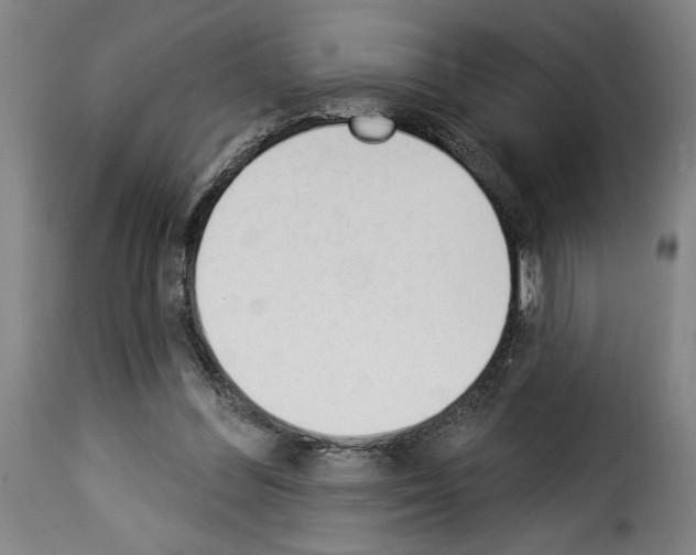 X0000114240300200911201140