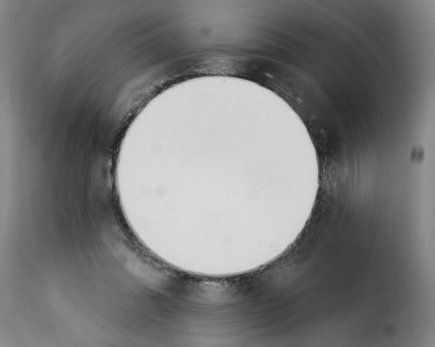 X0000114240302200911201140