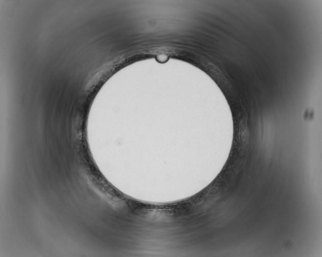 X0000114240303200911201140