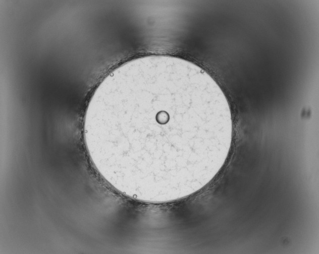 X0000114240305200911201140