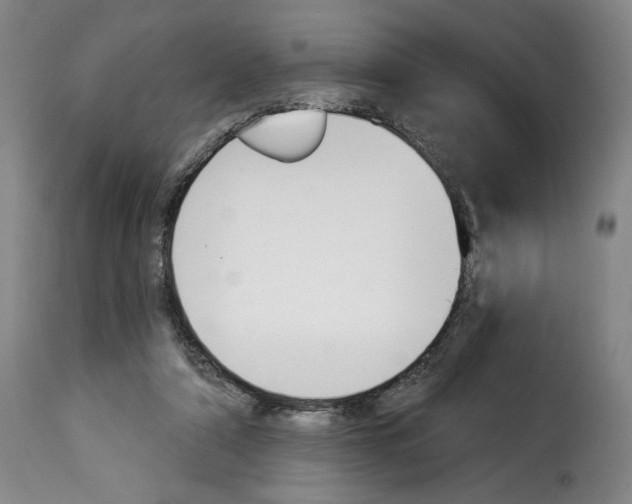 X0000114240306200911201140