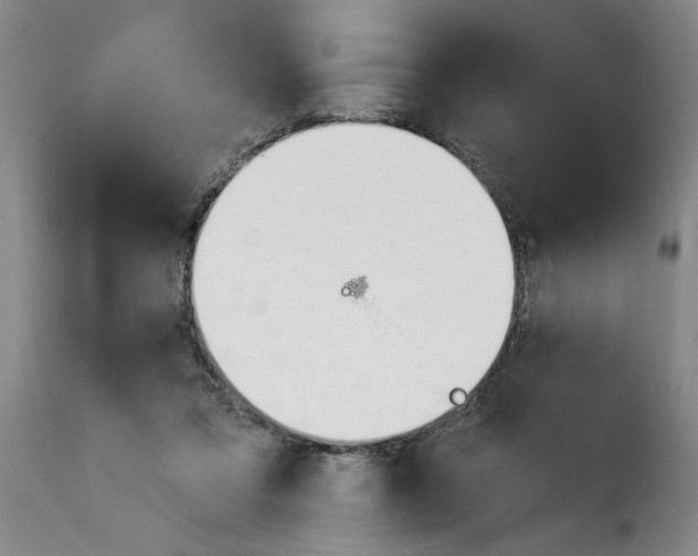 X0000114240309200911201140