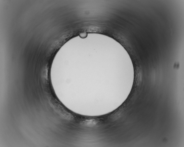 X0000114240310200911201140