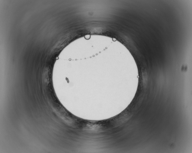 X0000114240311200911201140