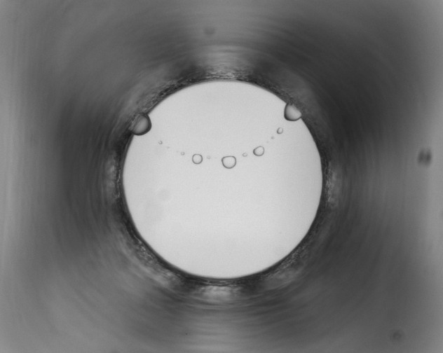 X0000114240314200911201139