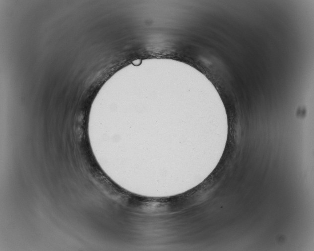 X0000114240319200911201139