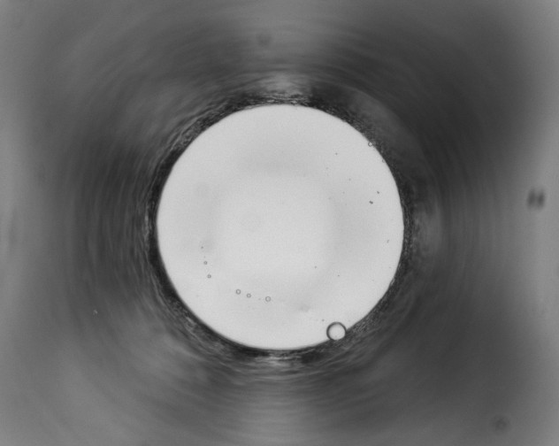 X0000114240320200911201139