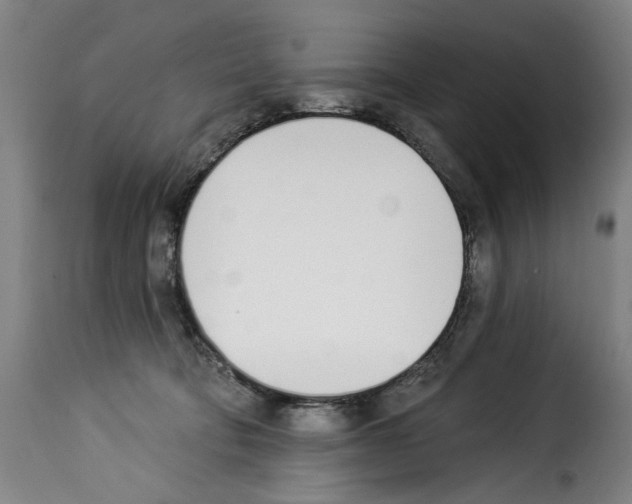 X0000114240322200911201139