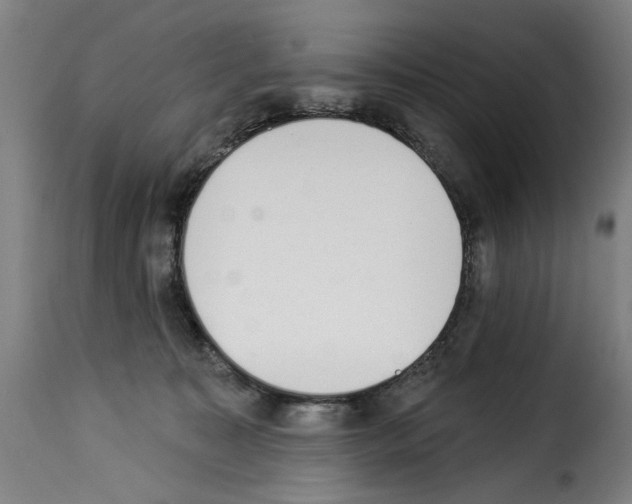 X0000114240323200911201139