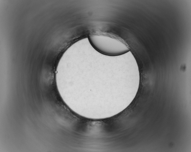 X0000114240324200911201139